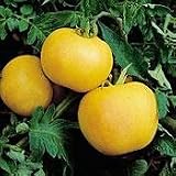 Garden Peach Tomato 50 Seeds - Organic