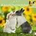 Kaninchenkinder 2009 Broschurkalender: Multipicture mit Texten & Poster