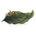 Franz Porcelain Brilliant Blooms Canna Lily Flower Tray