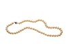AAA 7.5-8mm Pink Freshwater Pearl Necklace 18in Princess