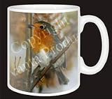Review Advanta  / AUTUMN ROBIN Coffee Mug
