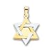 14k Two-tone Star of David