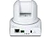 31fH4ZNIaLL. SL75  TRENDnet SecurView Pan/Tilt/Zoom Internet Surveillance Camera TVIP410 White