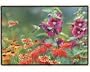 Fiddler's Elbow Hummingbird Doormat
