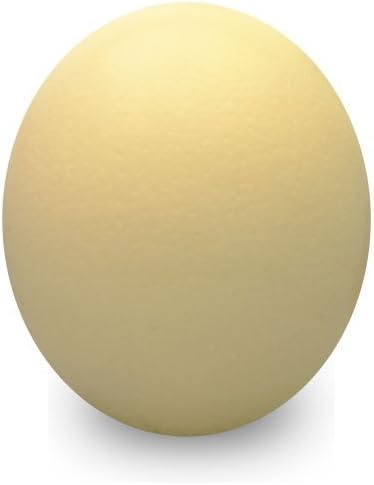 Premium Ostrich Eggshell - Grade A (Jumbo 18 by Uniquely Emu
