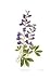 False Indigo by Pamela Stagg, 12x20