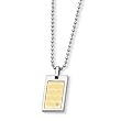 Stainless Steel and 18k with Diamond Necklace