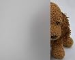 White Frost Privacy Window Film - 12" wide x 1yd: Sold in one continuous roll, by the yard.