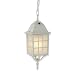 Royce Lighting RLC3342ES-40 Outdoor Convertible Lantern White with Frosted Globe