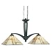 Thomas Lighting M2605-11 Rockledge - Two Light Island Chandelier, Bronze Florentine Finish with Handcrafted Honey Art Glass