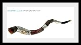 Amazing Silver-plated 41 to 39 Yemenite Shofar Kudu Judaica Plus Bag