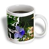 WhiteOak Photography Floral Prints - Africia Butterfly Bush Flower Blue Tropical Flower - Mugs