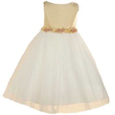 Special Occasion Dresses Girls on Little Girls Special Occasion Gold Tulle Flower Girl Dress Kids Dream