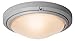 Oceanus - 16"dia Flush/Wall Mount - Satin Finish - Frosted Glass Shade