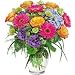 Flowers - Simply Glorious