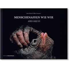 Menschenaffen wie wir