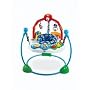 Fisher-Price Lil Laugh n' Learn Jumperoo