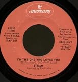 IM THE ONE WHO LOVES YOU 7 INCH (7" VINYL 45) US MERCURY 0