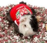 All Living Things ~Holiday Sweets Tee~ One Size Fits Most