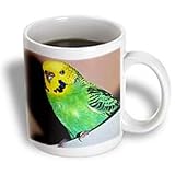 Birds - Budgie Parakeet - Mugs