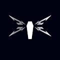 Death Magnetic (Deluxe Limited Edition) (5 LPs + Bonus CD)
