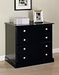 Louvered Rich Black File Cabinet By Coaster Furniture