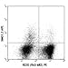 505810-100 ?g - Anti-IFNG Rat Monoclonal Antibody (APC (Allophycocyanin)) - Each