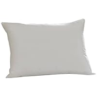 Aller-Ease Hot Water Washable Allergy Pillow, Standard, Medium