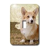 Dogs Corgi - Pembroke Welsh Corgi - Light Switch Covers - single toggle switch
