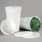 Seed Starting - Easy Sprout Seed Sprouter