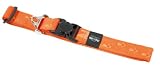 Halsband Alpinist Gr.XXL - 46-75cm x 40mm brombeer