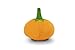 P.L.A.Y. Cute Plush Dog Toys - Fruit & Vegetable Themed Durable Squeaker Chew Toy, Great for Puppies & Small, Medium, Large Dogs - Machine Washable, Recycled Materials (Garden Fresh Pumpkin, Medium)