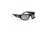 Gatorz Saphron Sunglasses - Acetate, Gatorz Saphron Sunglass Style: Gatorz Saphron Sunglasses, Brown Frame, Brown Gradient LensGatorz Saphron Sunglasses - Acetate, Gatorz Saphron Sunglass Style: Gatorz Saphron Sunglasses, Brown Frame, Brown Gradient Lens Model 214-F18-L18