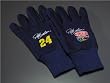 Set of 3 Jeff Gordon Gloves - NASCAR