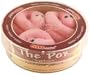 Giant Microbes Pox - Syphilis (Treponema pallidum) Petri Dish