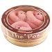 Giant Microbes Pox - Syphilis (Treponema pallidum) Petri Dish