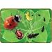 LADYBUG GIANT LIFECYCLE PUZZLE