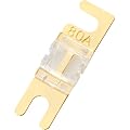 Raptor MINI-ANL FUSE 80AMP 5PK GOLD