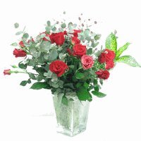 お祝いのバラの花束　２０本【生花】【お祝い】記念日】【誕生日】【フラワーギフト】【バラ】