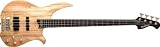 Washburn CB Series CB14SPK Electric Bass