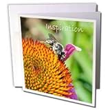 Patricia Sanders Flowers - Inspiration - Greeting Cards-6 Greeting Cards with envelopes