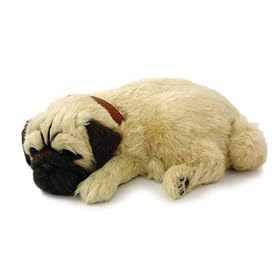 LIFE LIKE PUG PUPPY by 