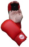 BRYAN Semi Contact Karate Mitts - Large