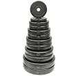 82,5 Kg Hantelscheiben Set Kunststoff ummantelt 30/31mm