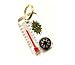 Ledmark Industries Compass Thermometer Key Chain