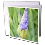 Patricia Sanders Flowers - inspirational iris - Greeting Cards-6 Greeting Cards with envelopes
