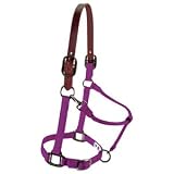 Weaver Leather HLTR, BRKAWAY, LG, PU JAZZ