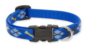 Lupine Nylon Collar 1/2