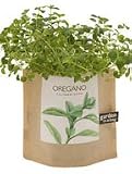 growing basil indoor-Grow Your Own Oregano Herbs Garden in a Bag