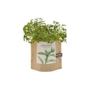 Grow Your Own Oregano Herbs Garden in a Bag